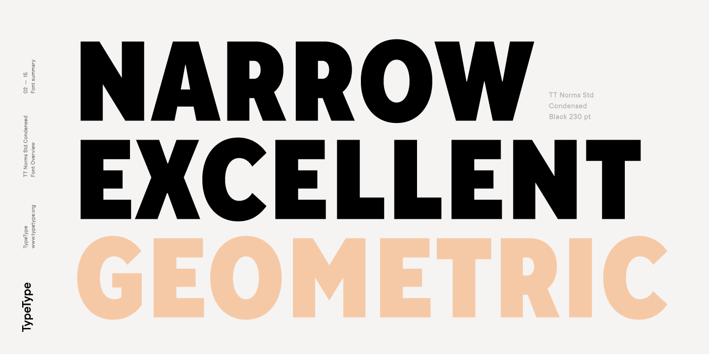 TT Norms Std Condensed Thin Italic Font preview